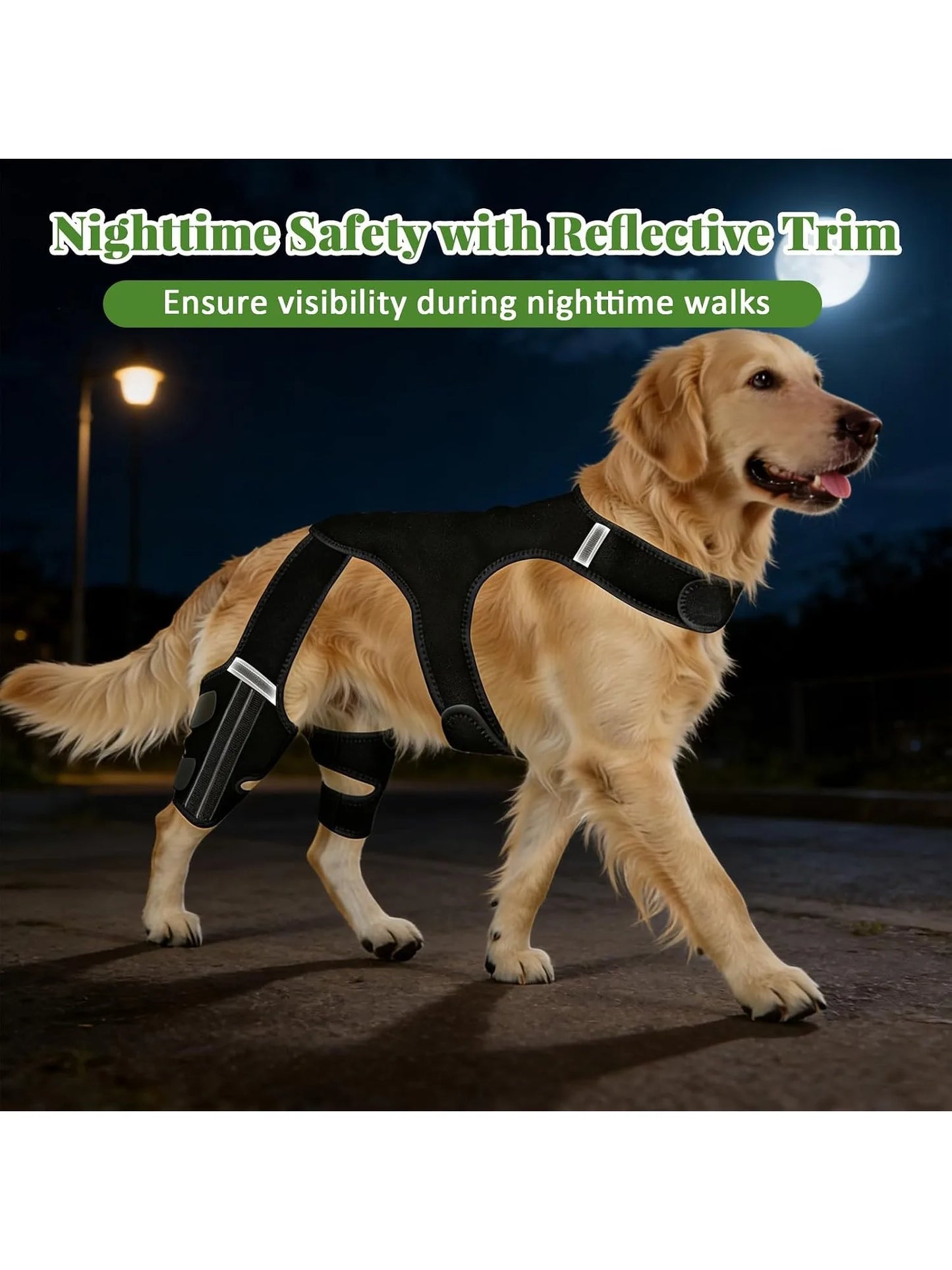 Dog Knee Braces for Hind Leg,Knee Brace Support