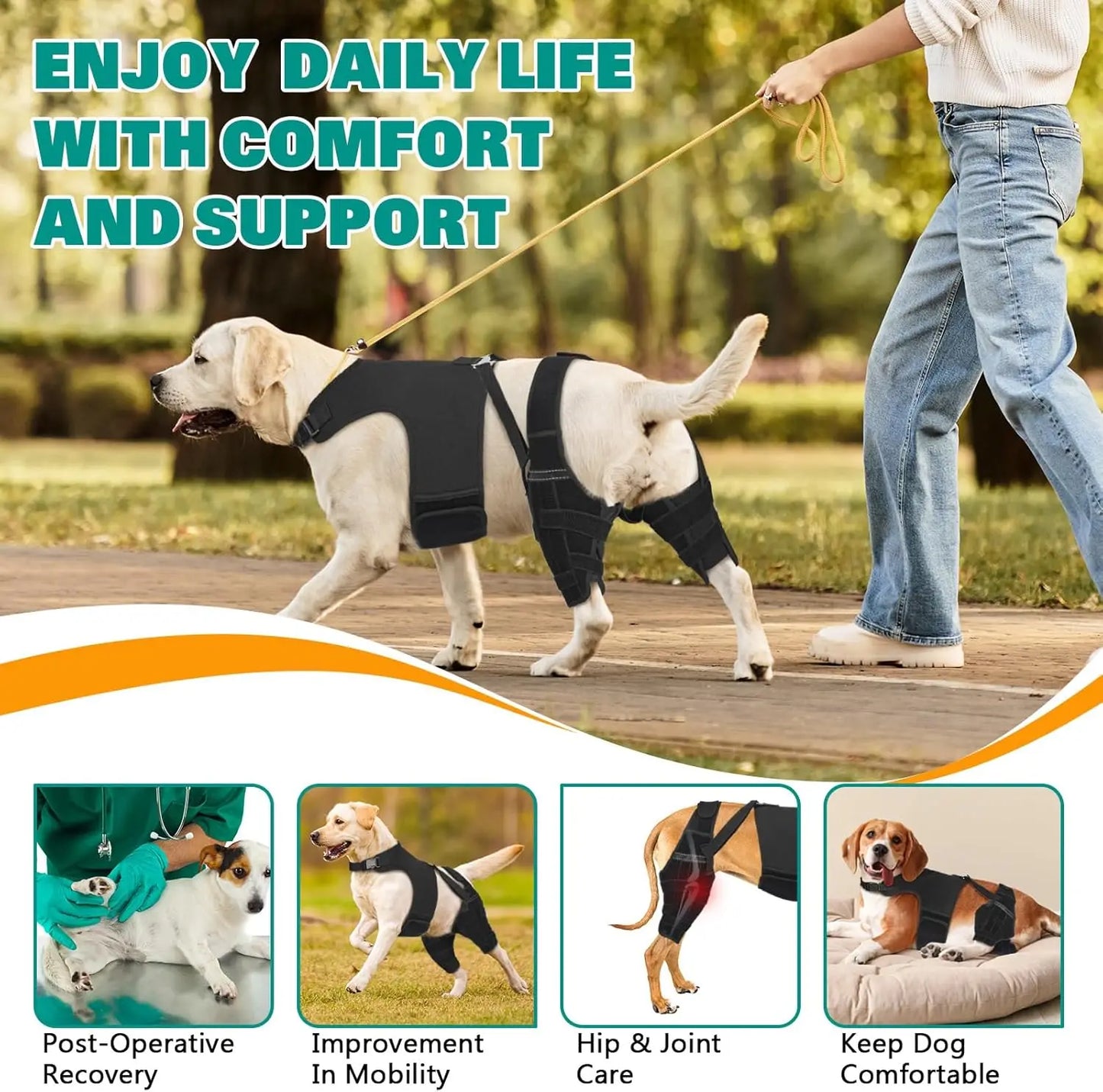 Dog Knee Brace for Torn ACL Hind Leg, Helps Reduce Pain from Torn CCL