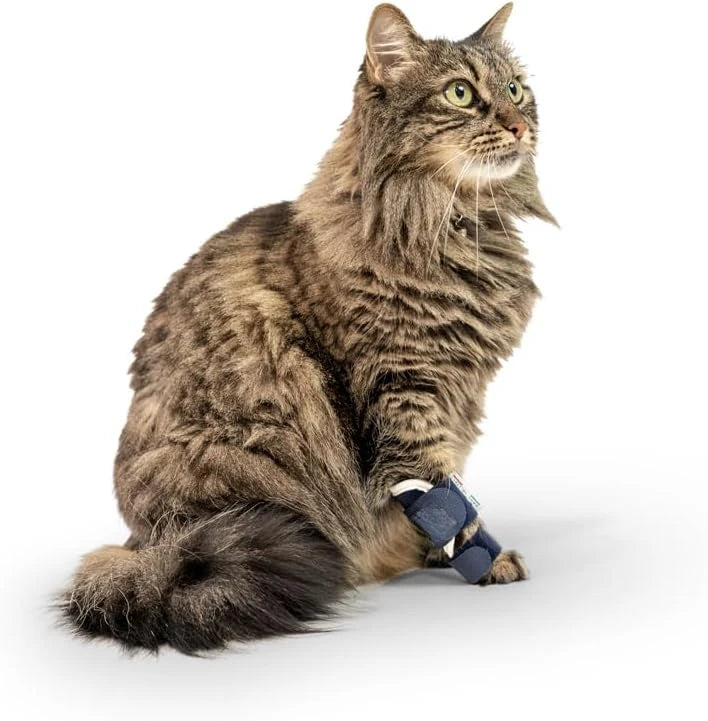 Splint Carpal Hyperextension Dog Brace ,Supports Dog Ankle Splint Brace