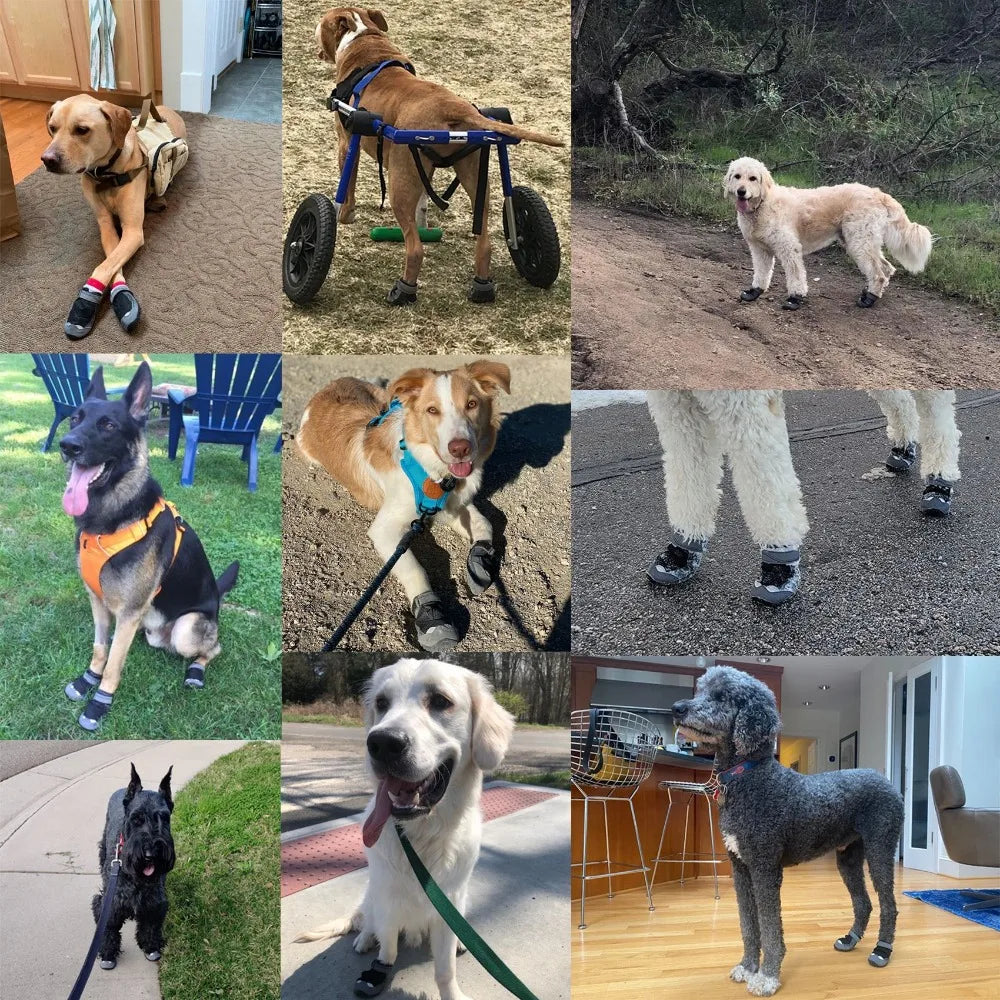 Dog Shoes for Large Breeds, Waterproof Anti-Slip