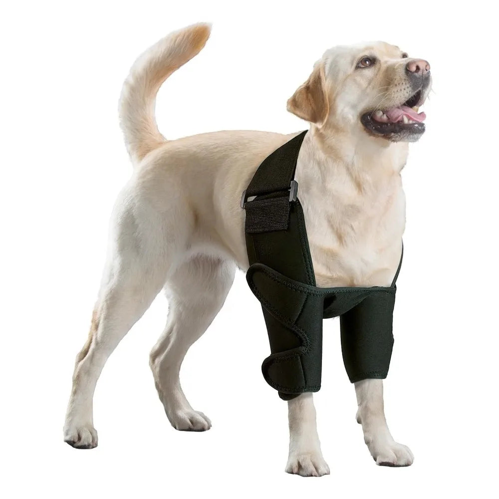 Dog Brace Support