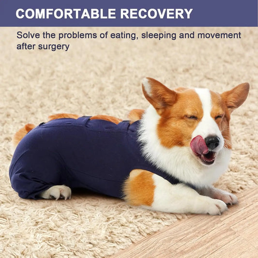 Pet Dog Surgical Suit,Puppy Recovery Clothing After Surgery