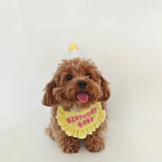 Adorable Birthday Hat Bib Set for Small Dog Kitten, Dog Bandag