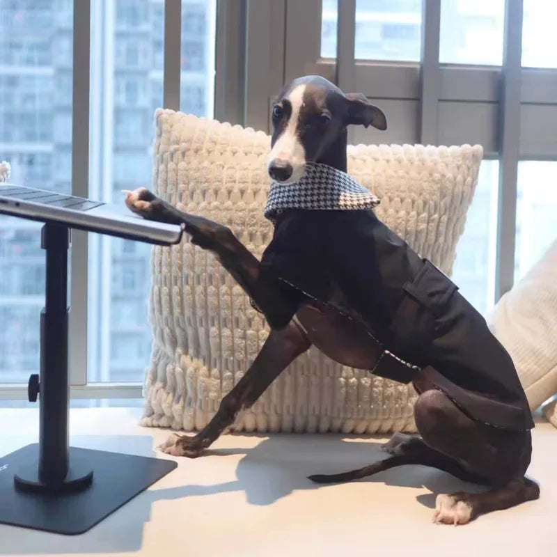 Windproof Dog Sweater,Turtleneck Coat for Big Breeds