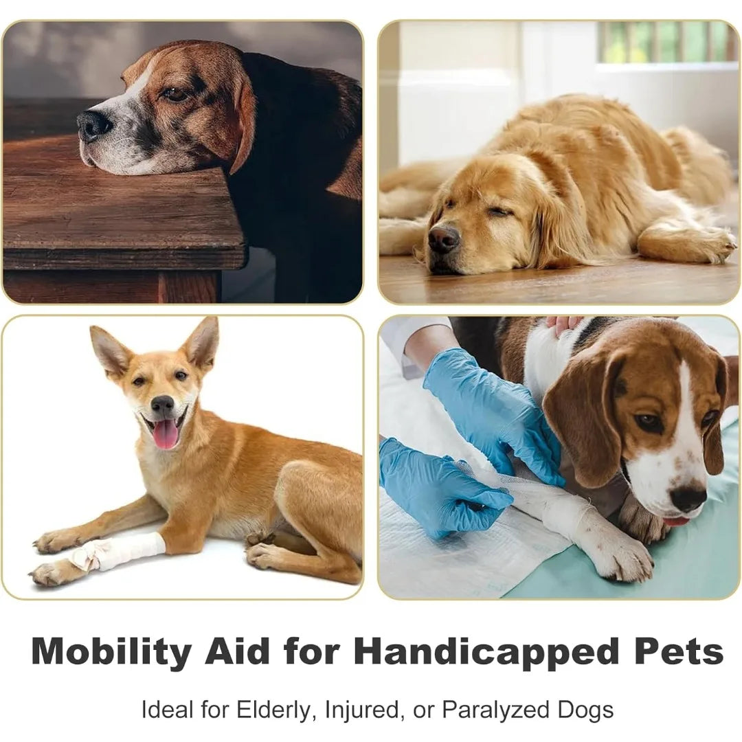 Sling Dogs Lift Back Legs Support Harness