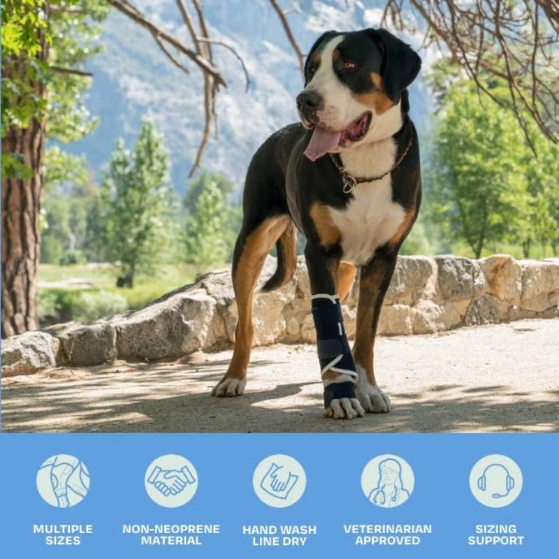 Splint Carpal Hyperextension Dog Brace ,Supports Dog Ankle Splint Brace