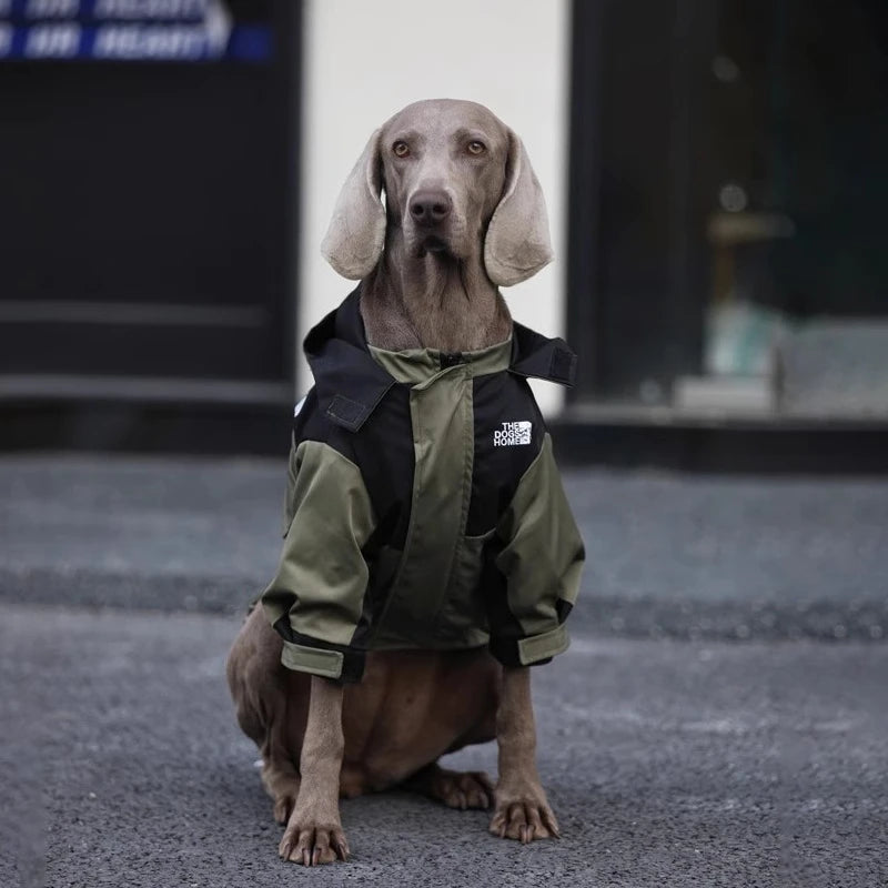 Waterproof Jackets For Large Dogs