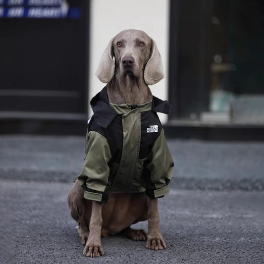 Waterproof Jackets For Large Dogs