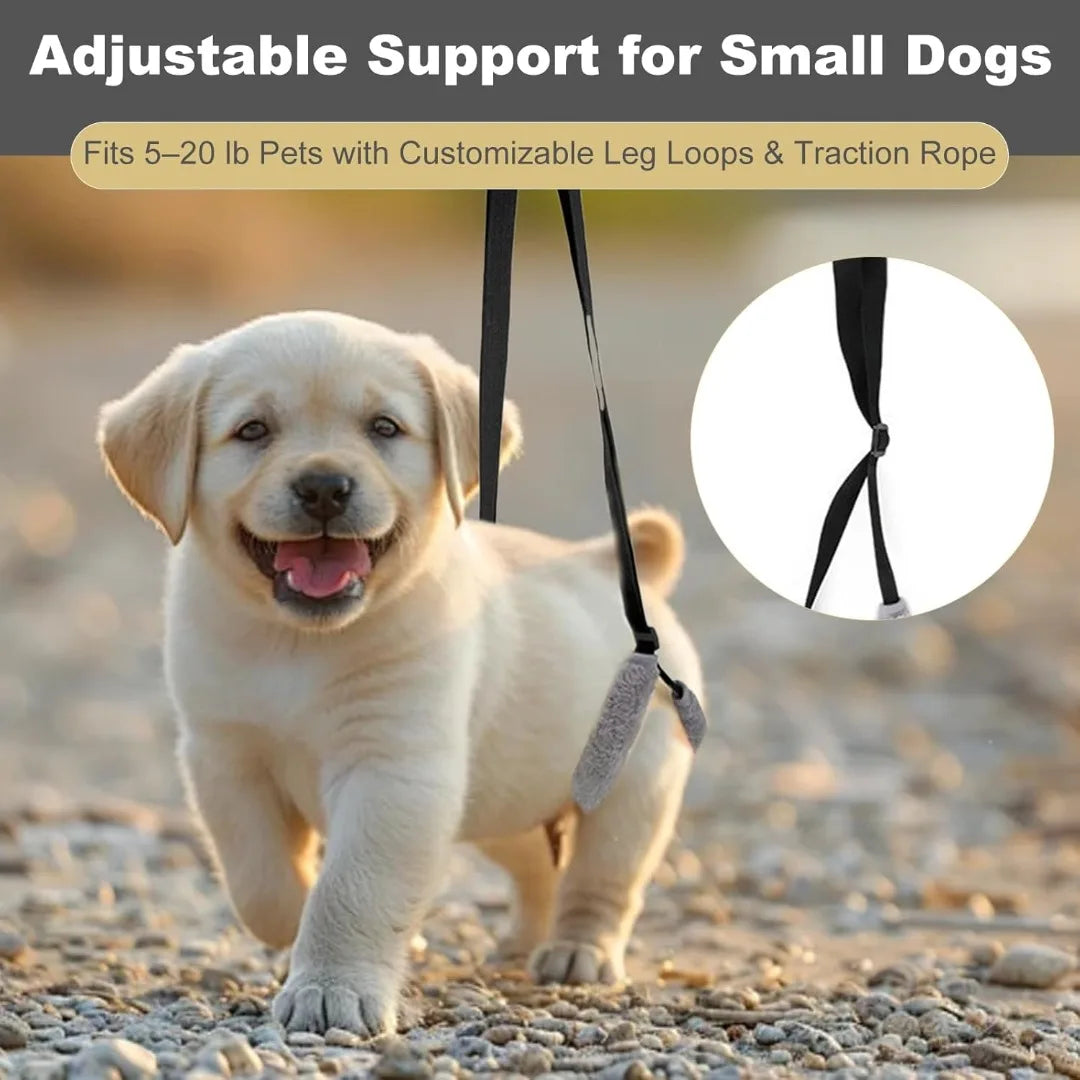 Sling Dogs Lift Back Legs Support Harness