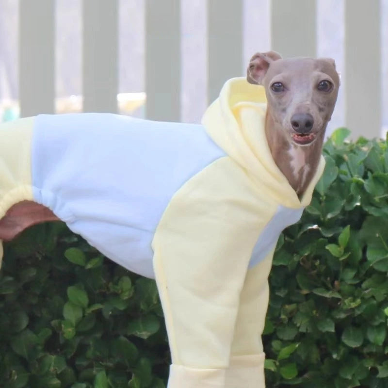 Four-Feet Dog Pajamas Jumpsuit ,Greyhound Whippet Large Breed