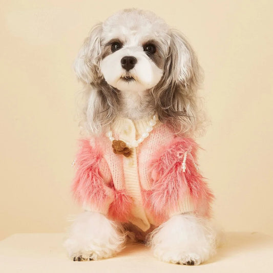 (CastlePet) Check out who's the Fabulous One,Fairy Sweater
