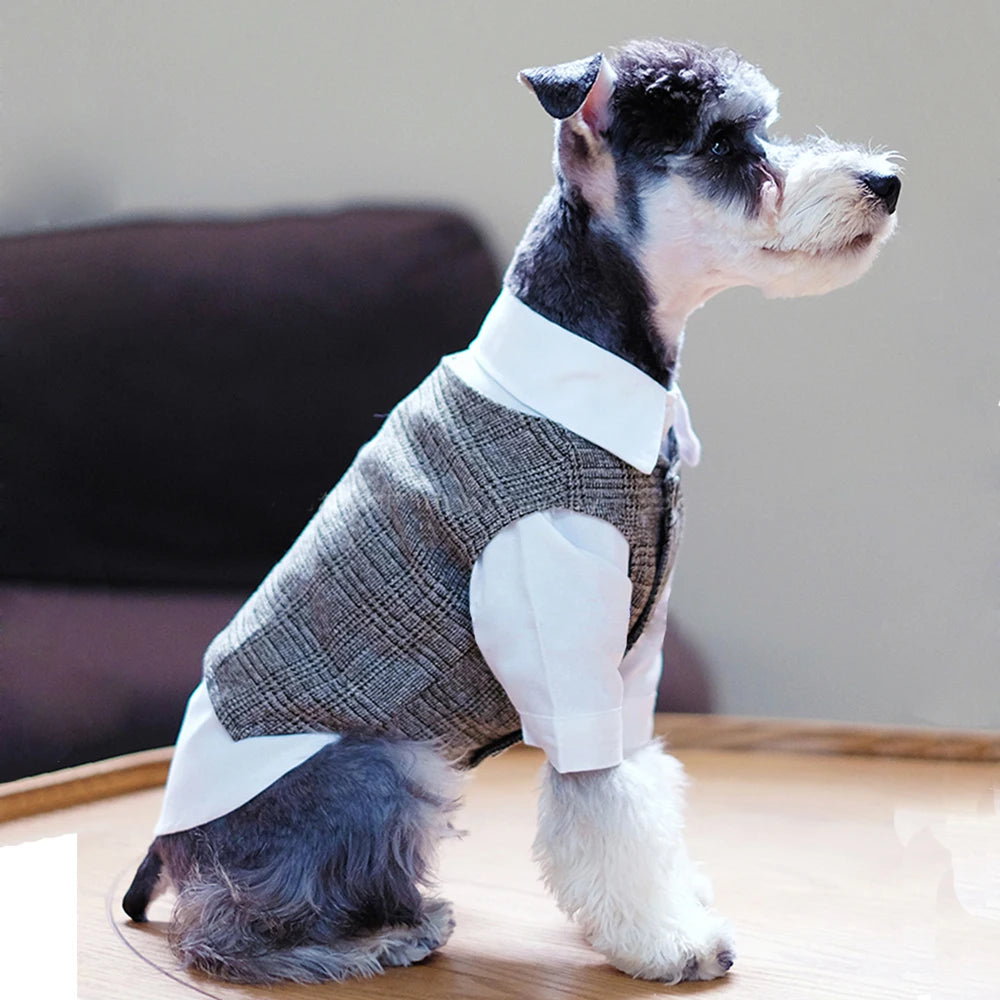 Peaky Blinder Boys' Suit,Slim Fit For Dogs