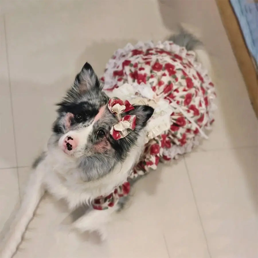 Floral Large Dog Dress,Rose Print Dresses For Big Breeds