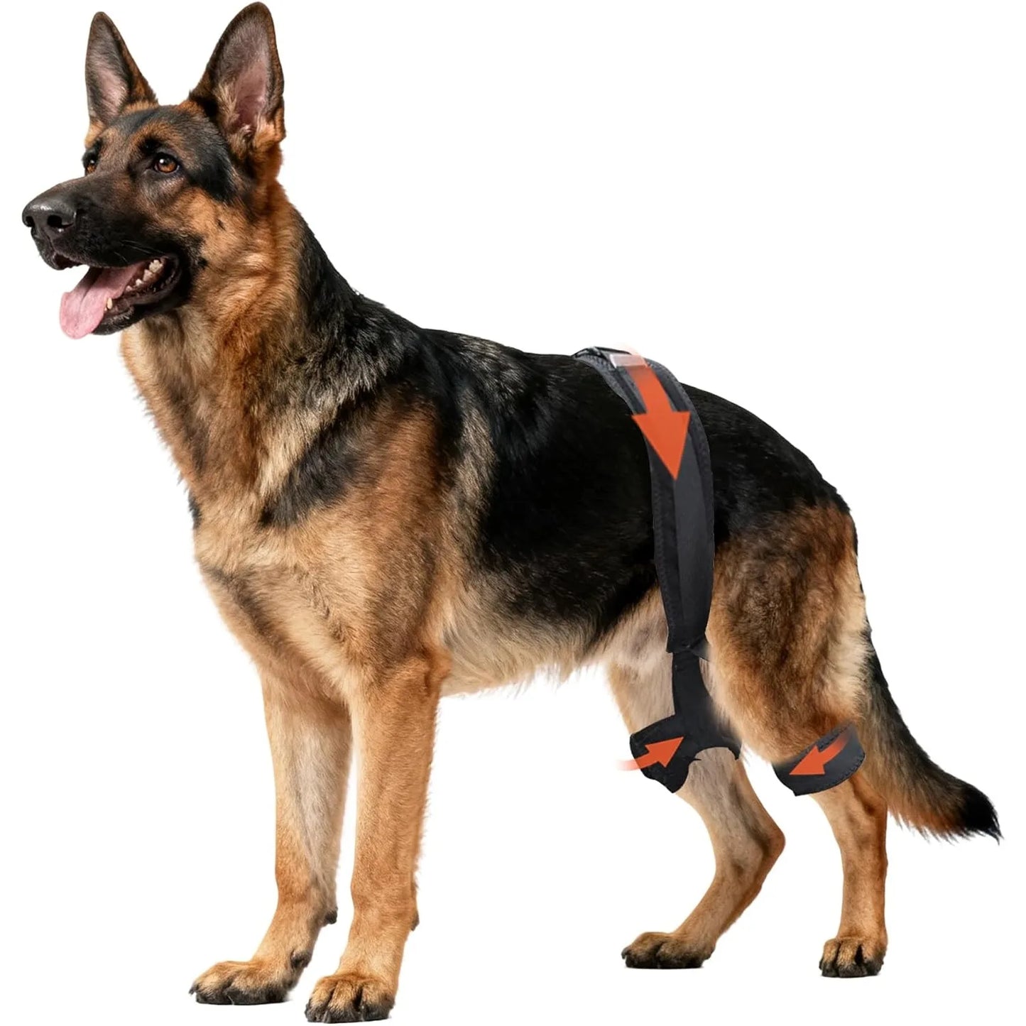 Dog Hip Brace for Hip Dysplasia, Pet Joint Pain Relief Brace