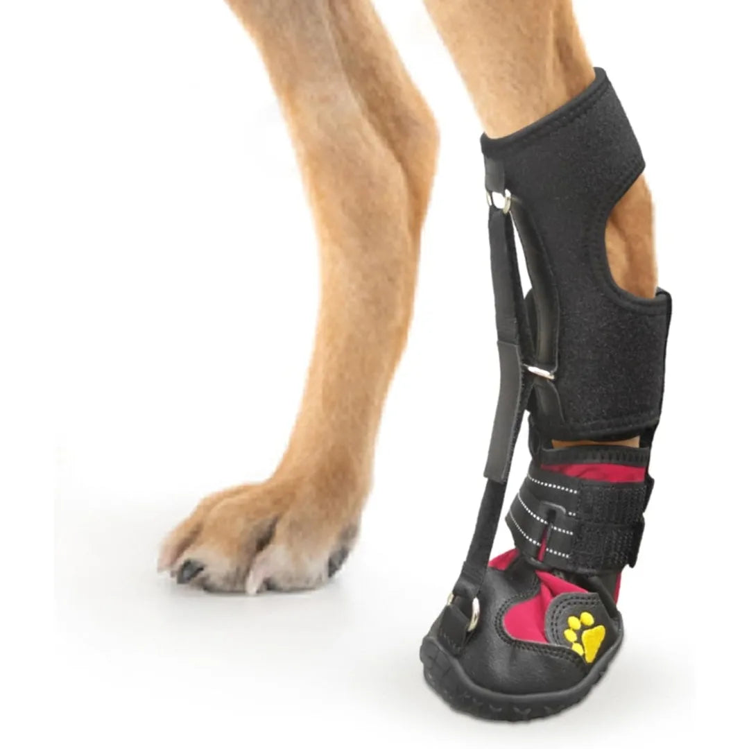 Strap-On Drop Foot Brace (No Knuckling Boot Brace) for Dogs