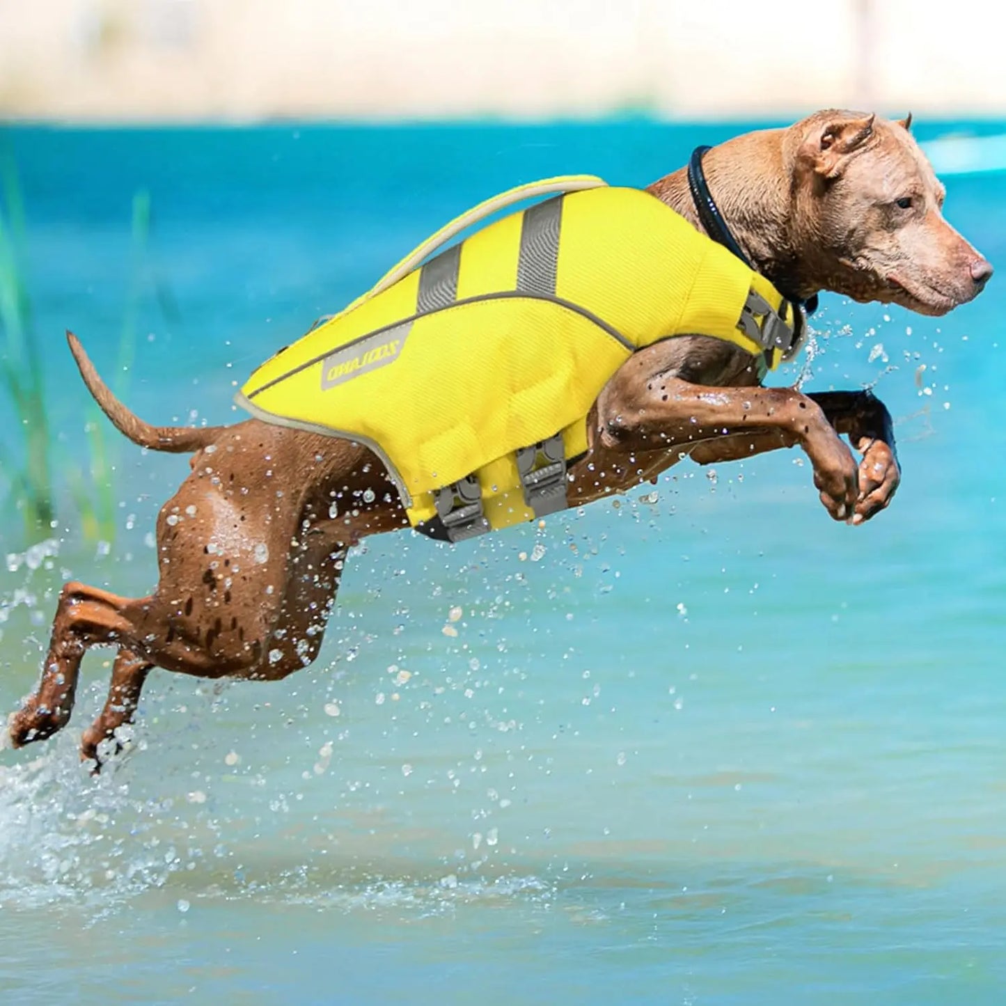 Dog Life Jacket with Reflective Stripes, Swimsuit (For Small Large Dogs)