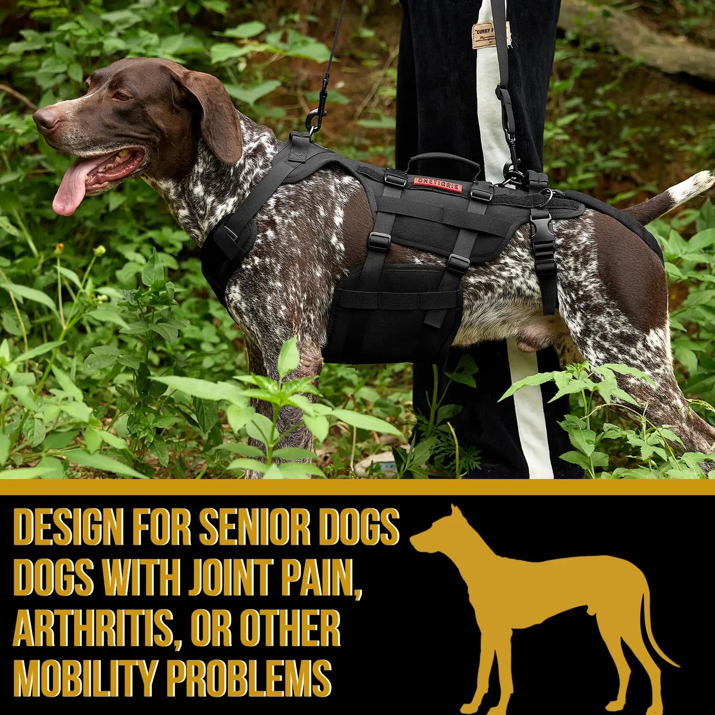 Dog Lift Harness for Outdoor,Pupyy Hip Support Brace,