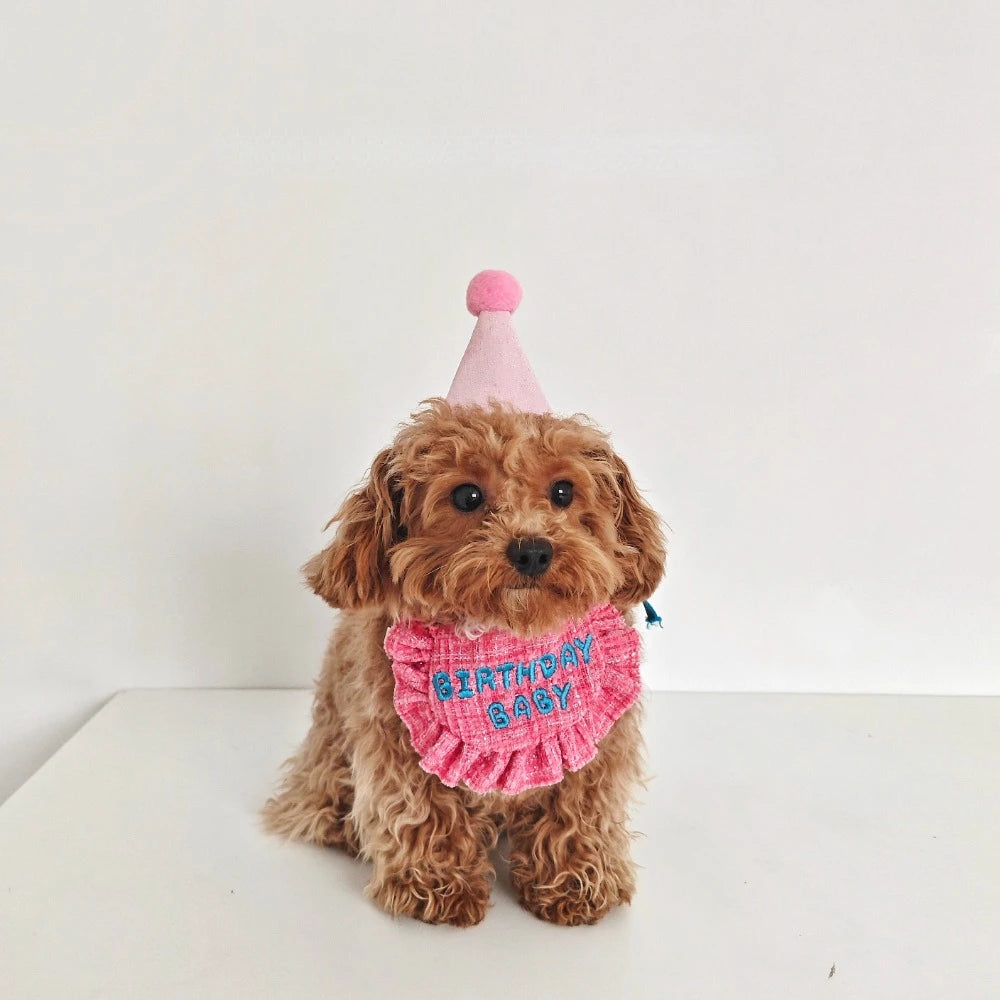 Adorable Birthday Hat Bib Set for Small Dog Kitten, Dog Bandag