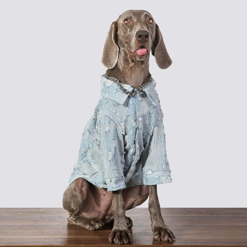 Large Dog Denim Jacket,Durable Stylish Pet Clothing for Large Breeds