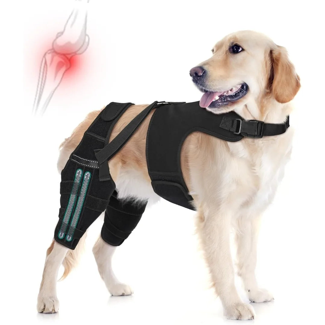 Dog Knee Brace for Torn ACL Hind Leg, Puppy Leg Brace