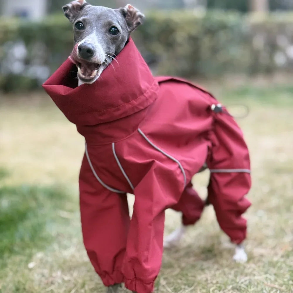 Windproof Dog Raincoat for Large Dog,Adjustable Strap 5XL Available