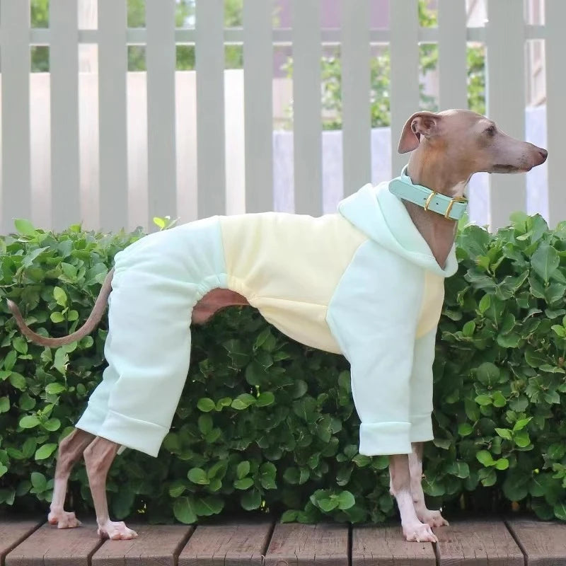 Four-Feet Dog Pajamas Jumpsuit ,Greyhound Whippet Large Breed
