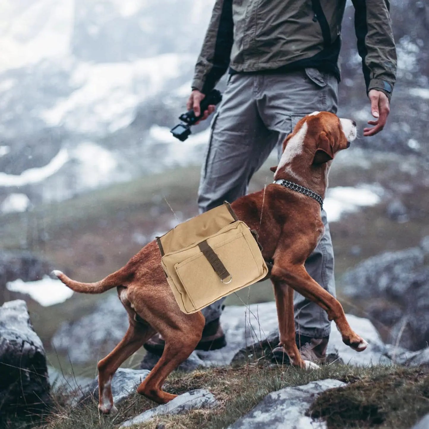 Heavy-Duty Canvas Dog Saddlebag Backpack