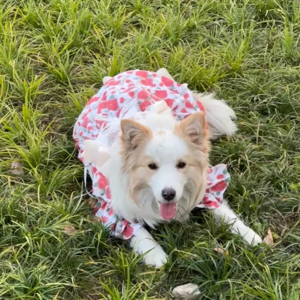 Floral Large Dog Dress,Rose Print Dresses For Big Breeds