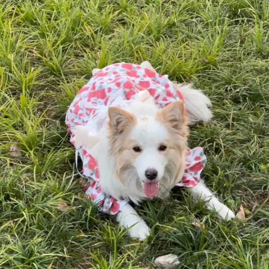 Floral Large Dog Dress,Rose Print Dresses For Big Breeds