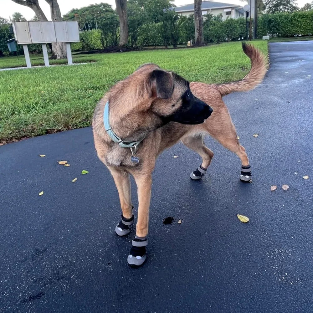 Dog Shoes for Large Breeds, Waterproof Anti-Slip