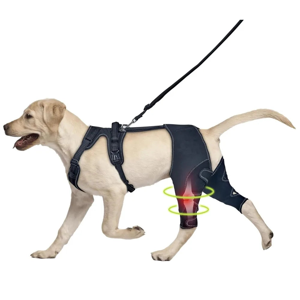 Dog Hinde Leg Brace Support for Knee Brace with Traction Rope