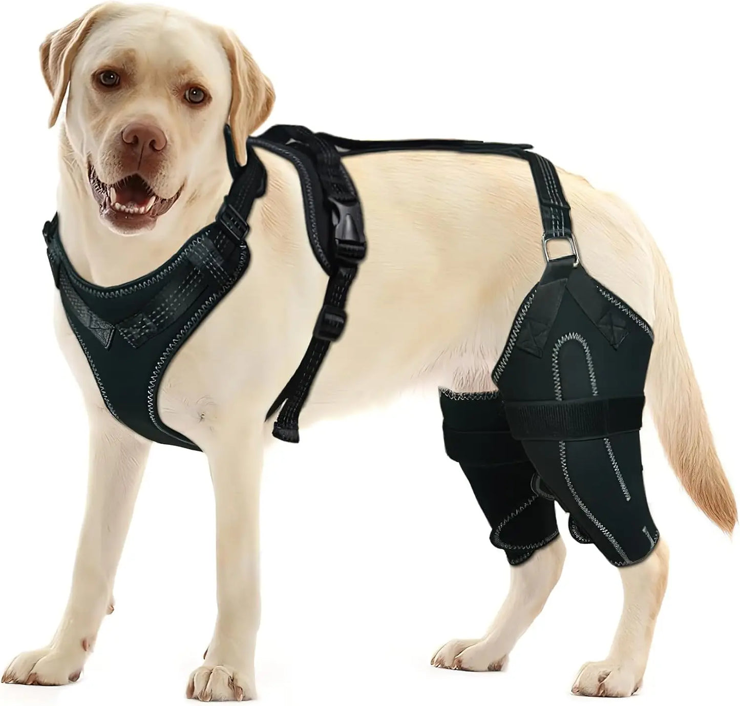 Dog Acl Knee Brace for Torn Acl Leg,Better Recovery