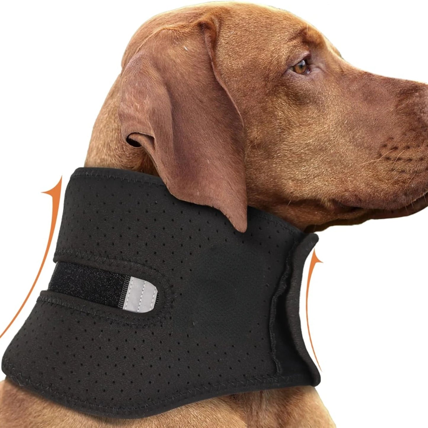 Dog Neck Brace Supports