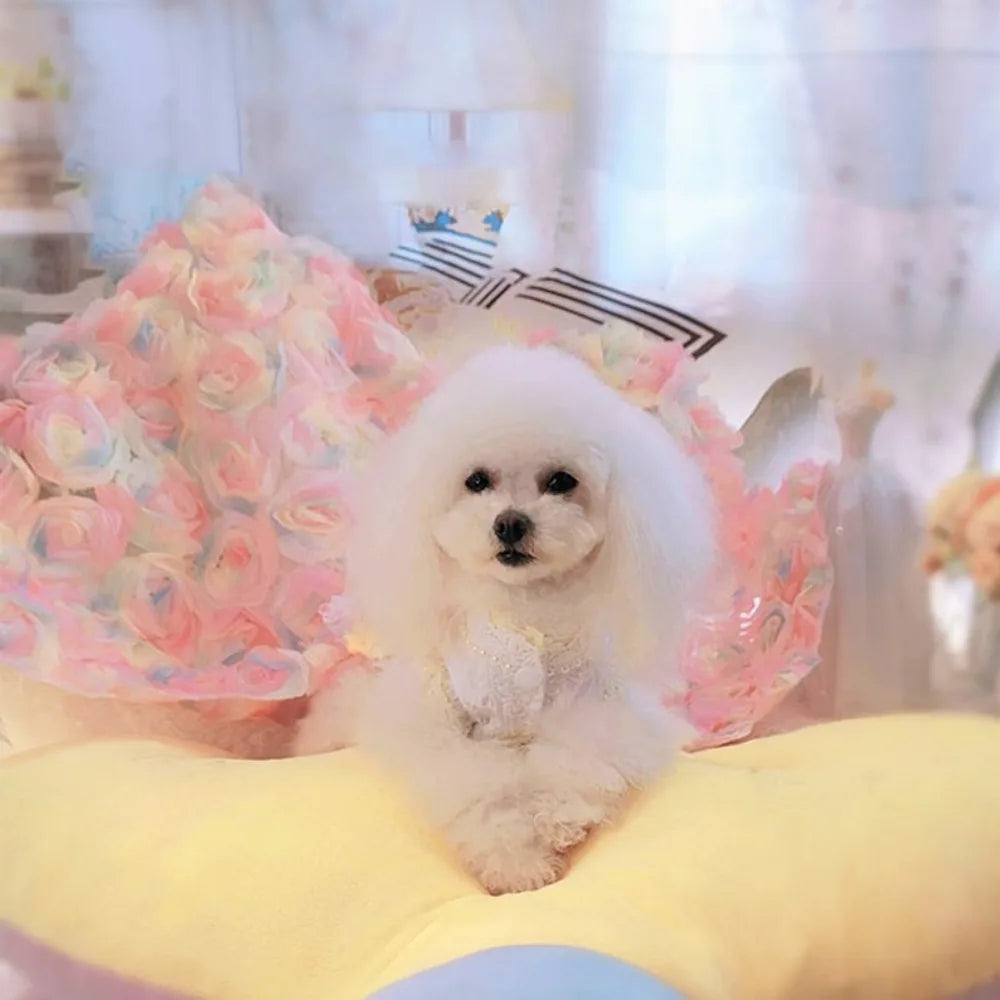 Handmade Long Trailing Dog Gown Luxury(customize avaiable)
