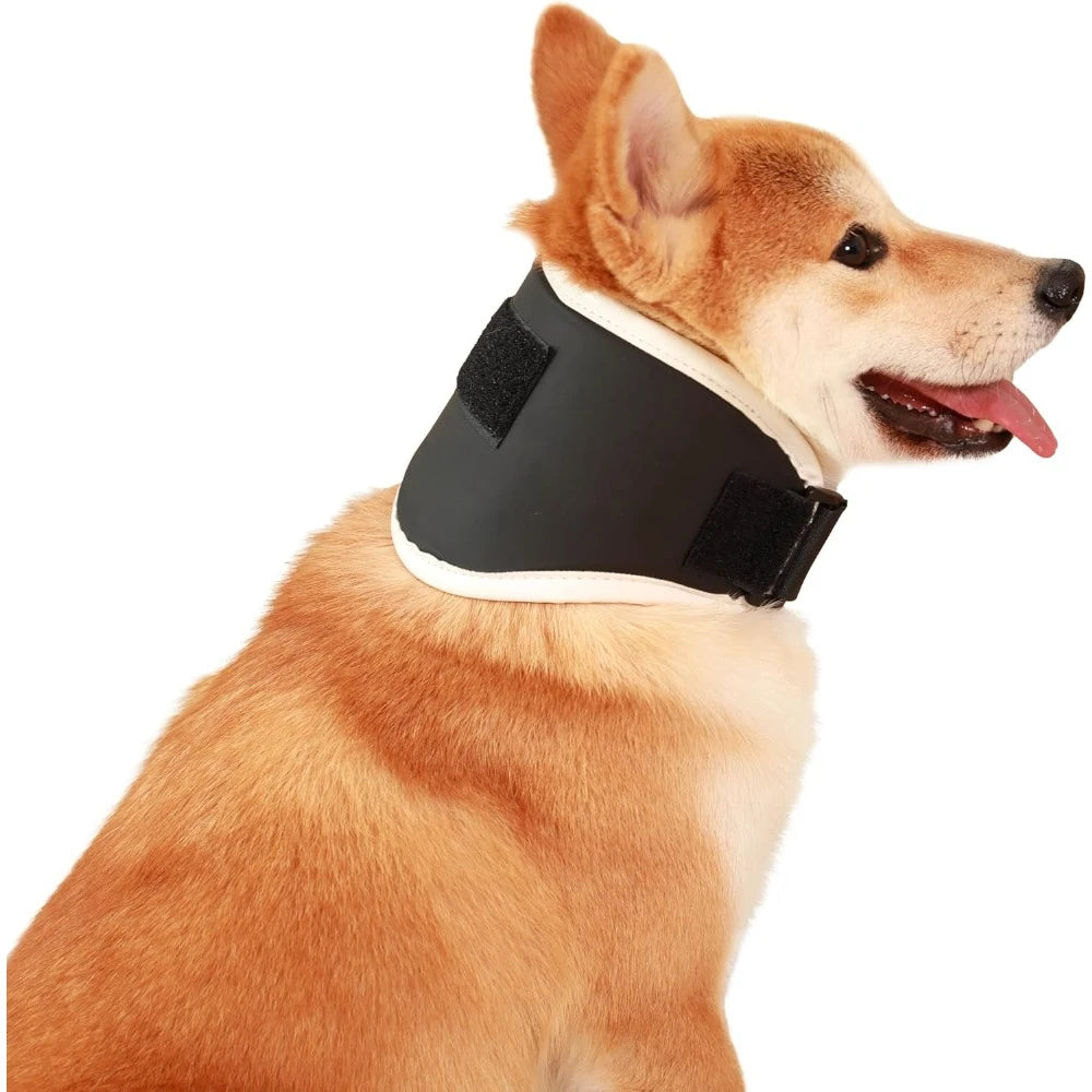 Adjustable Dog Neck Brace For Optimal Support&Comfort