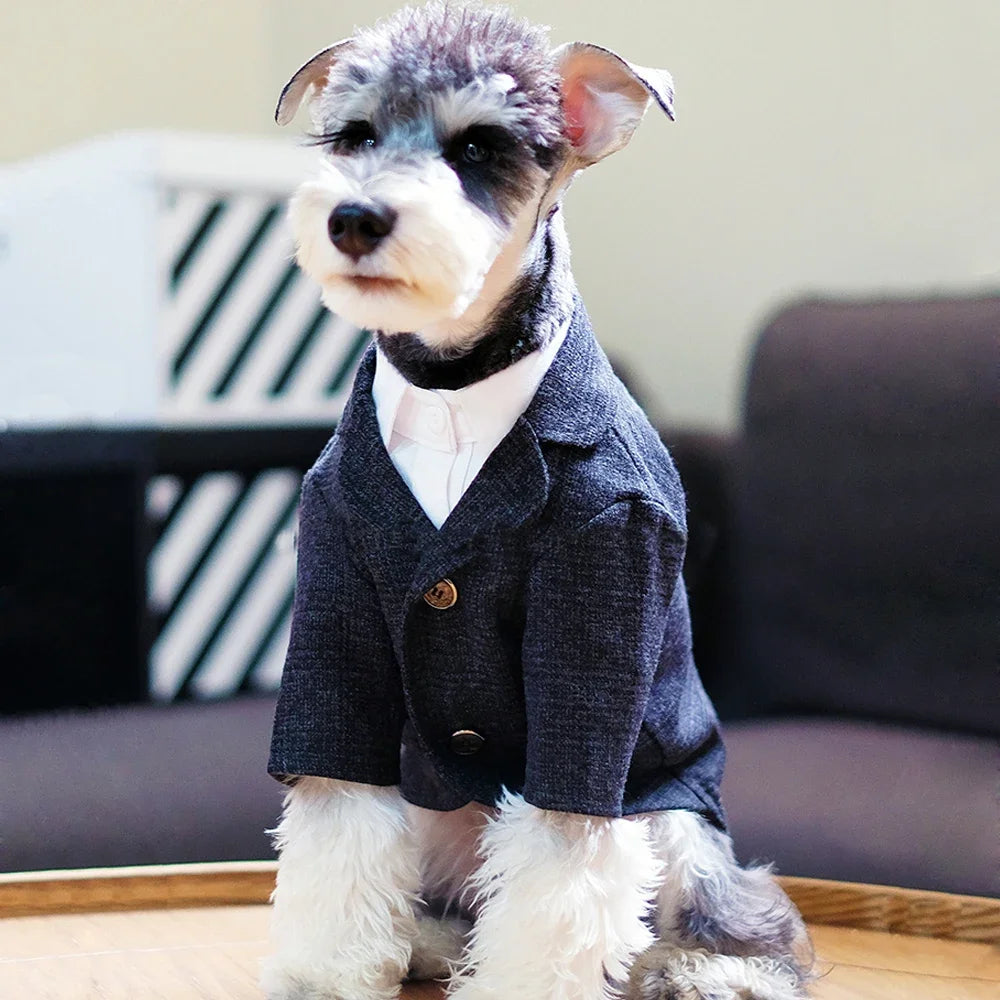 Peaky Blinder Boys' Suit,Slim Fit For Dogs