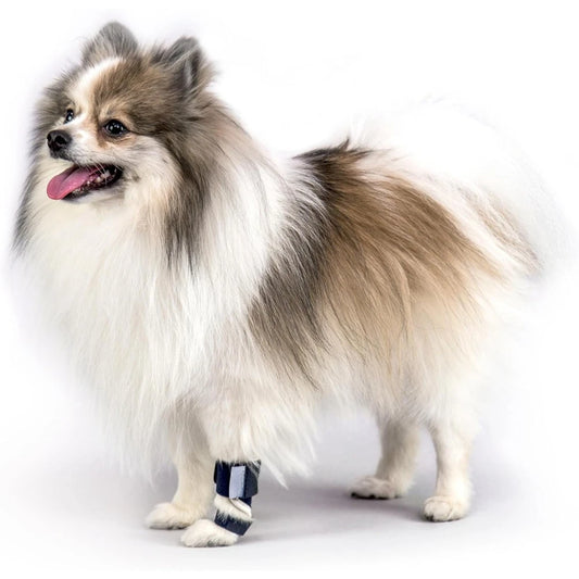 Splint Carpal Hyperextension Dog Brace ,Supports Dog Ankle Splint Brace