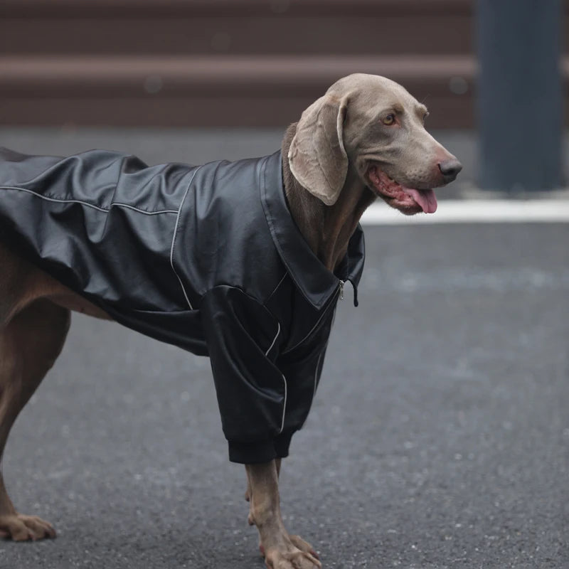 Zip-up PU leather Jacket for Large Dogs