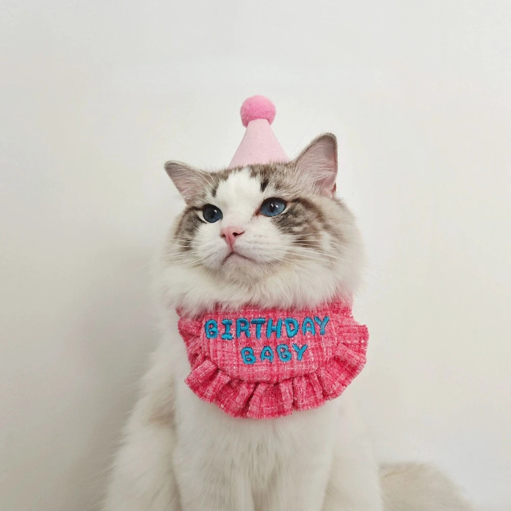 Adorable Birthday Hat Bib Set for Small Dog Kitten, Dog Bandag
