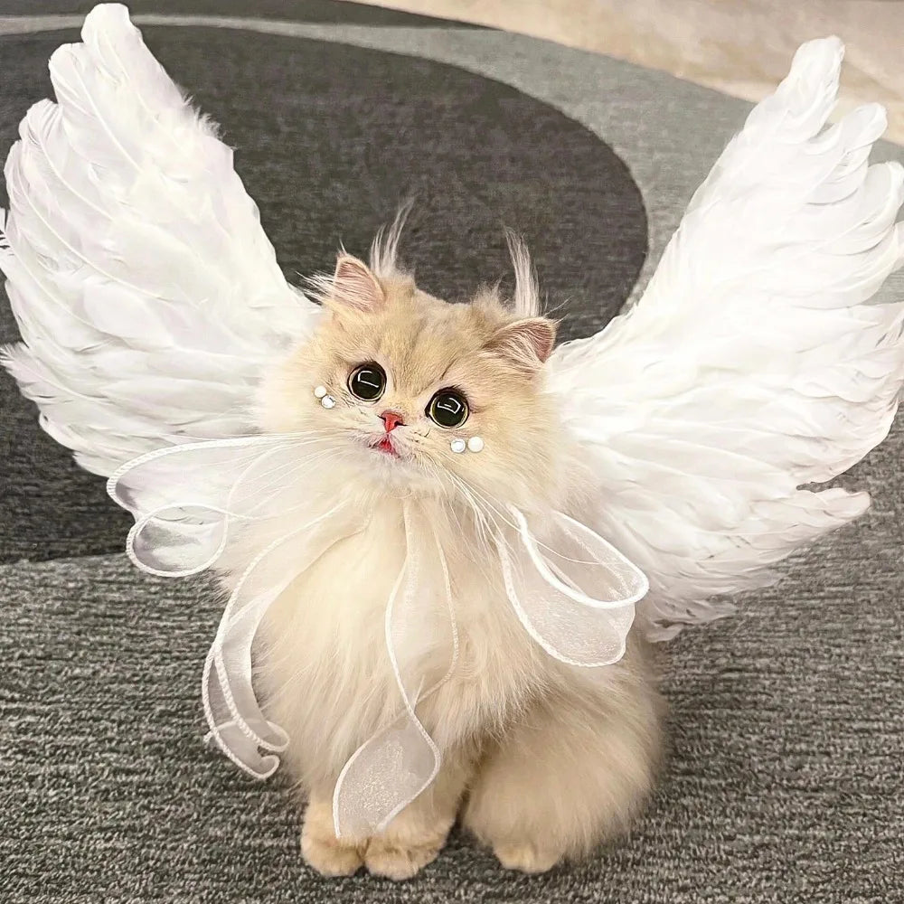 Pet Cat Wing Accessories,Simulated Feather Wings