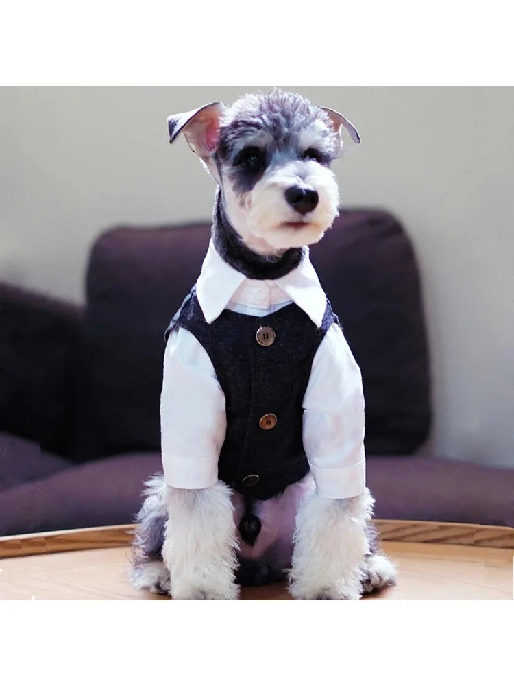 Peaky Blinder Boys' Suit,Slim Fit For Dogs
