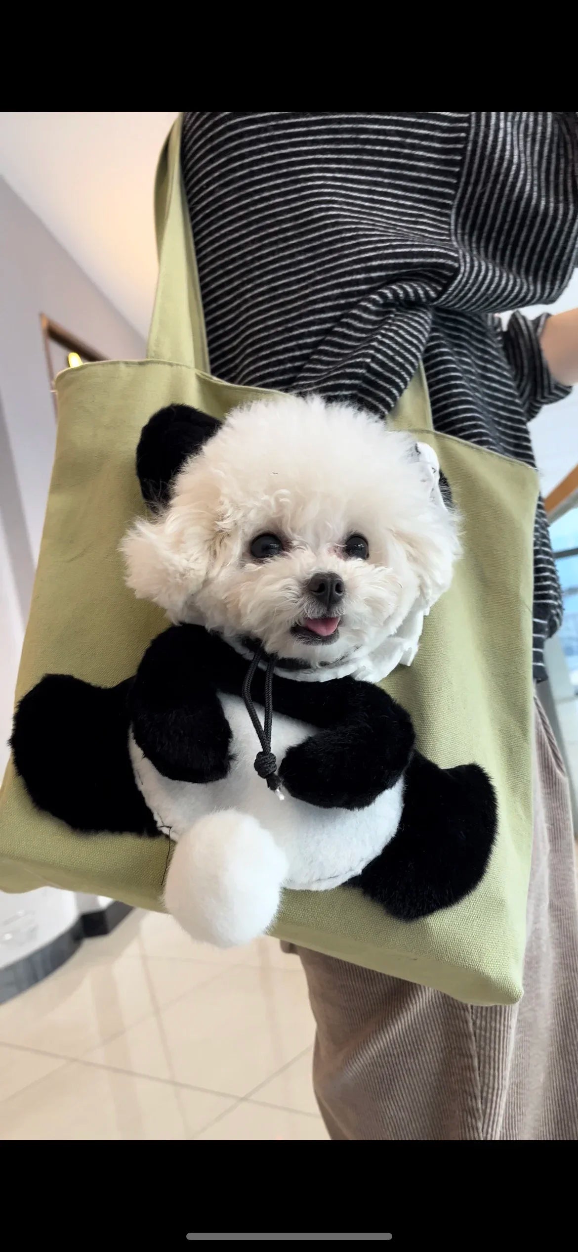 Sling Dog Carriers,Ultra-Cute & Secure Pet Outing Tote Bag