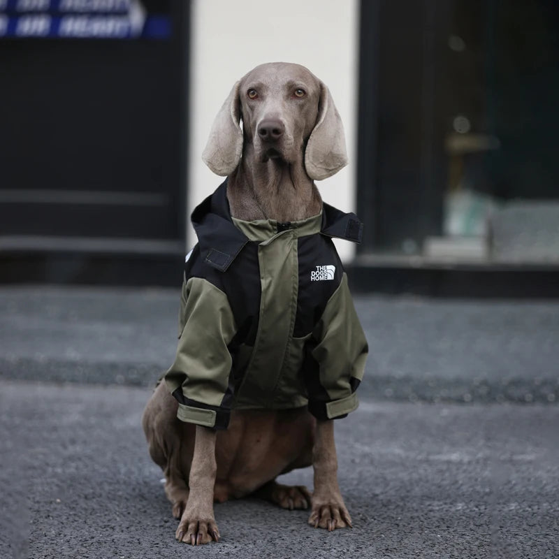 Waterproof Jackets For Large Dogs