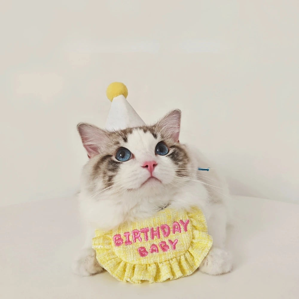 Adorable Birthday Hat Bib Set for Small Dog Kitten, Dog Bandag