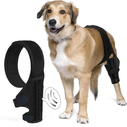 Small Dog Knee Brace ,for Torn Acl Hind Leg,Support with Cruciate Ligament Injury
