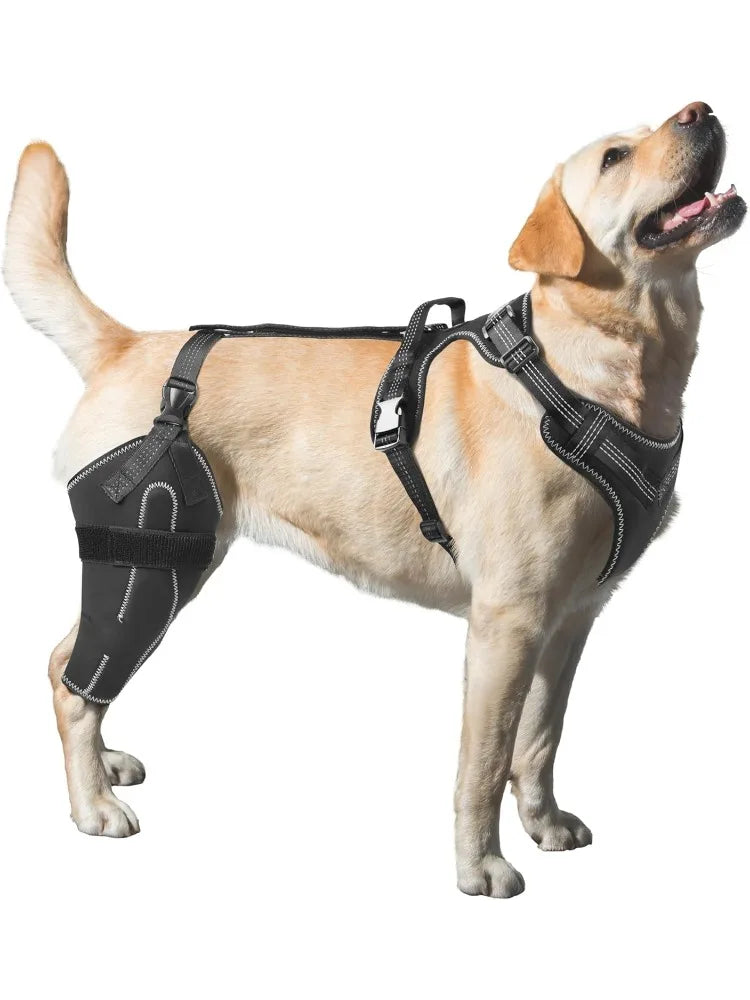 Dog Acl Knee Brace for Torn Acl Leg,Better Recovery