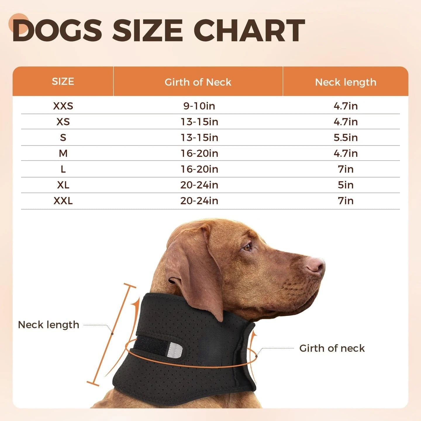 Dog Neck Brace Supports