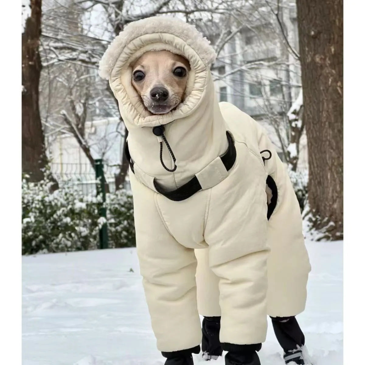 Winter Dog Jacket,Thickened Warm Outfits Greyhound Whippet