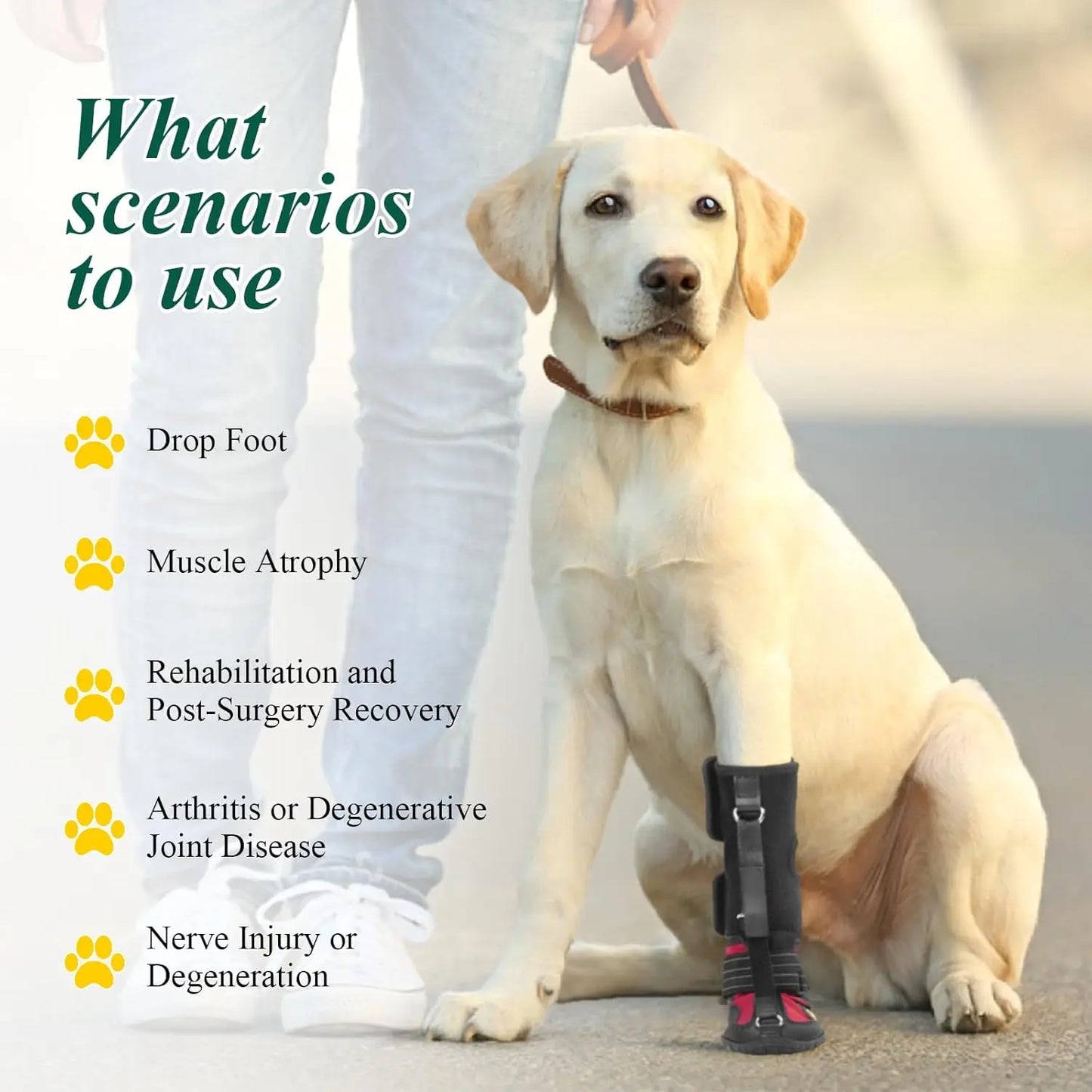 Strap-On Drop Foot Brace (No Knuckling Boot Brace) for Dogs