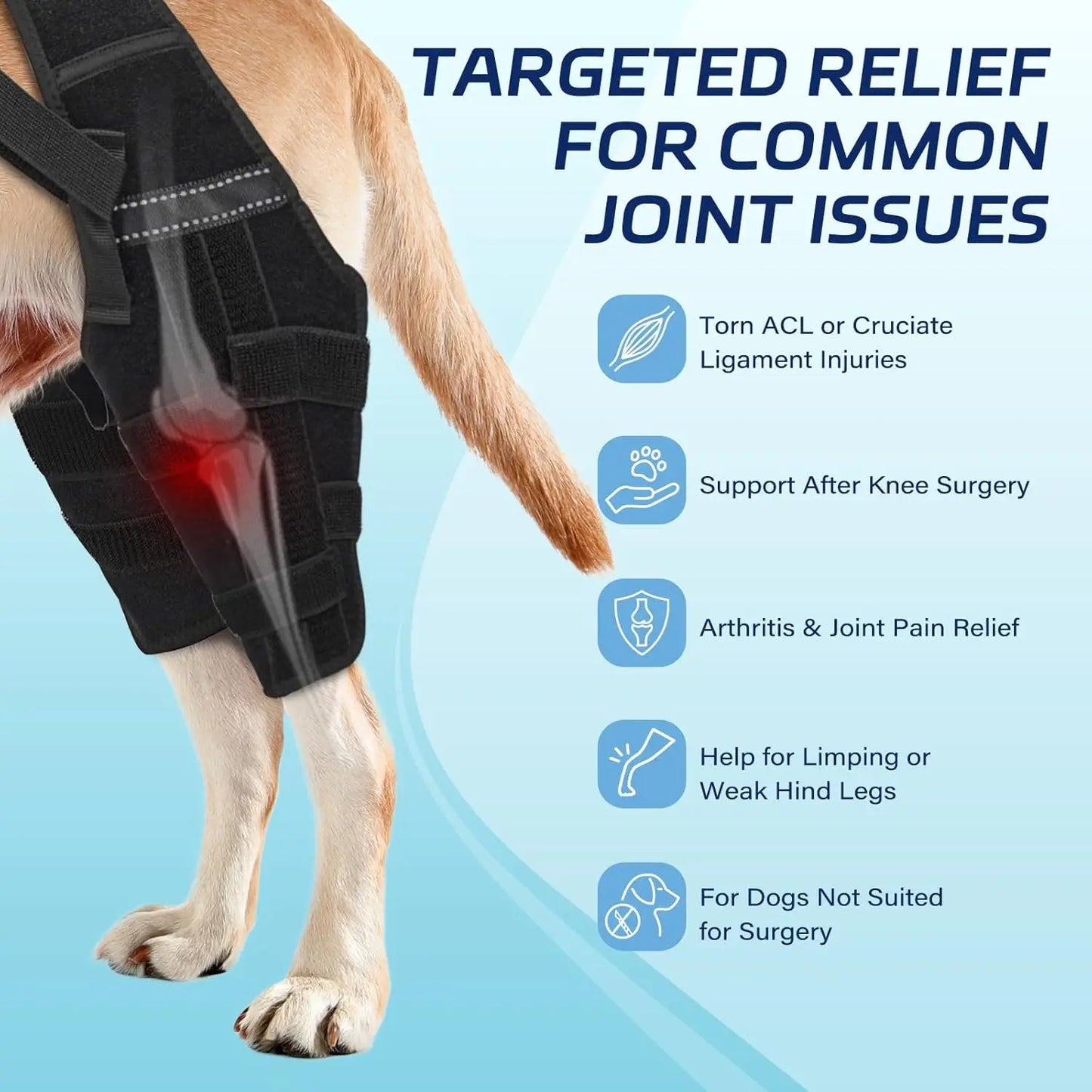 Dog Knee Brace for Torn ACL Hind Leg,  Helps Reduce Pain from Torn CCL